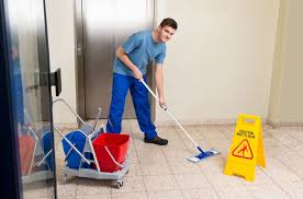 House Keeping, Landscaping, Pest Control Manufacturer and Supplier in Bangalore